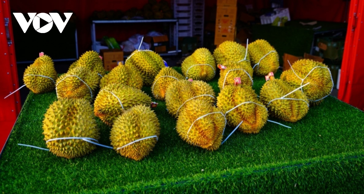 Vietnam durian and fruit festival opens in Tianjin